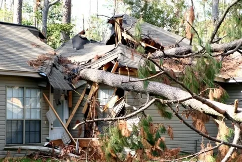 Disaster Restoration