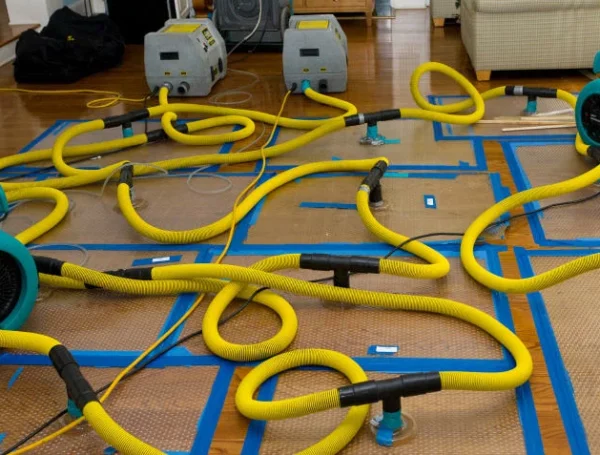 Water Damage Restoration: Protecting Your Property from Costly Damage