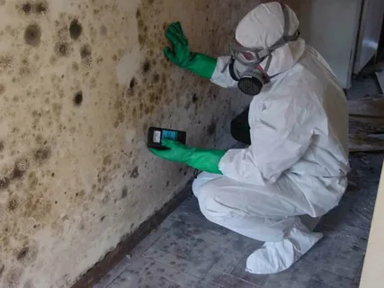 10 Warning Signs of Mold Toxicity